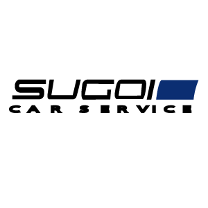 Sugoi Bosch Car Service